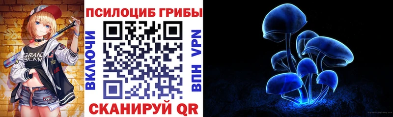 Псилоцибиновые грибы Psilocybe  Безенчук 